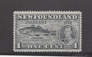 Canada (Newfoundland), 233, Codfish Single, MNG