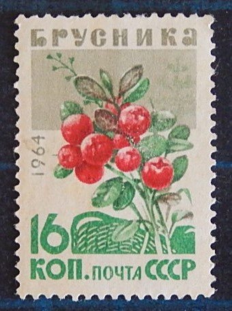 Berries, (2516-Т)