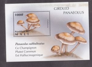 Mali # 768, Mushrooms, Souvenir Sheet, Stain at top, 20% of Cat.