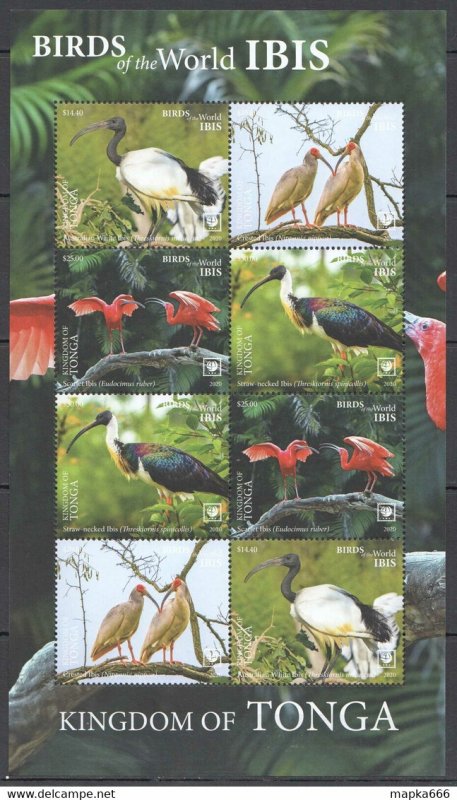 2020 Tonga Ibis Water Birds Of The World Fauna Kb ** Nw0536