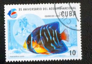 CUBA Sc# 3630 NATIONAL AQUARIUM FISH marine life  10c 1995  used cto
