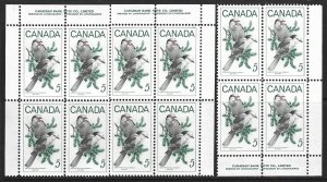 CANADA - #478 - 5c GRAY JAY PLATE BLOCKS MNH BIRDS