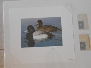 MI5 - Michigan State Duck Artist Signed  Numbered Print & Stamps. #02 MI5