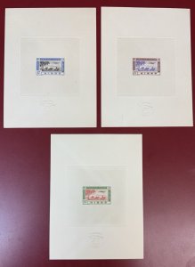 Niger, 1942, Scott #C11-C13, Set of 3 Airmails, Large Die Proofs/Deluxe Sheets