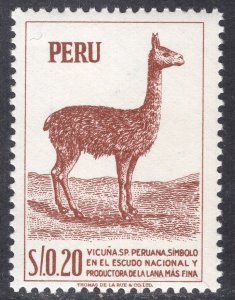 PERU SCOTT 461