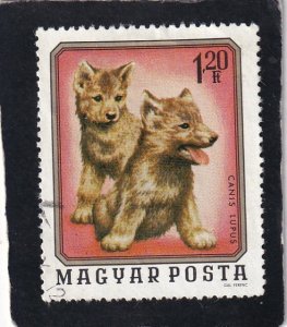 Hungary    #    2406     used