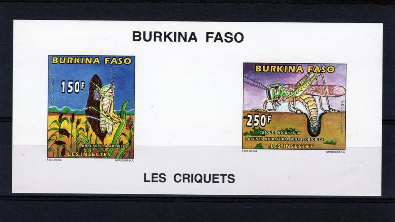 Burkina Faso 1996 Locust Mi1420&1422 Compound SS Imperf  MNH