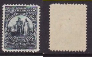 Newfoundland-Sc#72- id30-unused og NH 30c Colony Seal-1897-