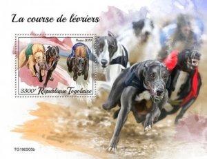 Togo - 2019 Greyhound Racing Dogs - Stamp Souvenir Sheet - TG190505b