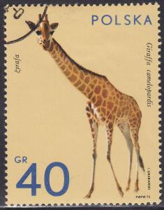 Poland 1889 Giraffe, Wild Game 40GR 1972