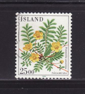 Iceland 587 U Flowers (B)