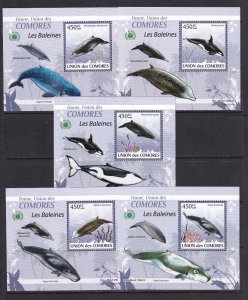 Comoros 2009 Fish 5 S/Sheets Deluxe Edition MNH