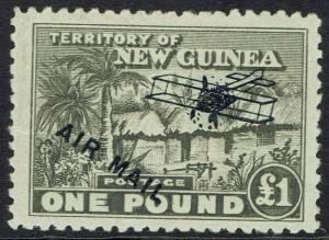 NEW GUINEA 1931 HUT AIRMAIL 1 POUND 