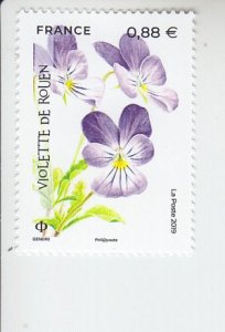 2019  France Violet of Rouen Endangered Flora (Scott 5657) MNH