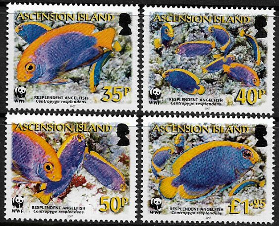 Ascension #904-7 MNH Set - WWF - Angelfish