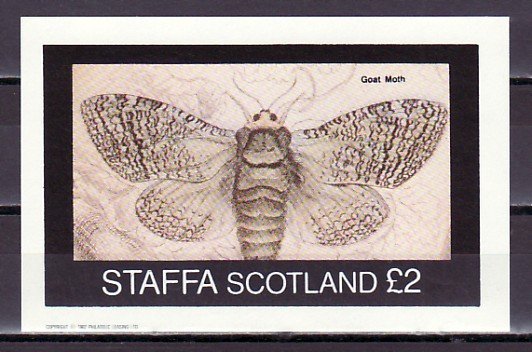 Staffa Local. 1982 issue. Goat Moth s/sheet.  ^