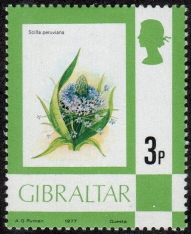 Gibraltar 344 - Mint-H - 3p Portuguese Squill (1977) (cv $0.60)