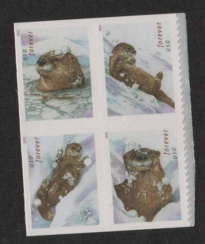 5651a Otters in Snow Double Sided End Block of 4-8 stamps | United