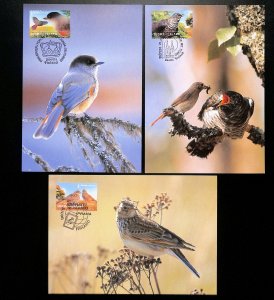 Finland 1184 maxicards maximum cards birds cuckoo