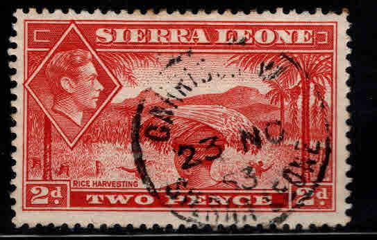 Sierra Leone Scott 176A  Used stamp