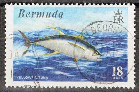 ZAYIX Bermuda 294 Used Yellowfin Tuna Game Fish Marine Life  072622S37M