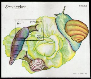 Somalia 1999 Sea Shells & Snail Marine Life Animal M/s MNH # 8271