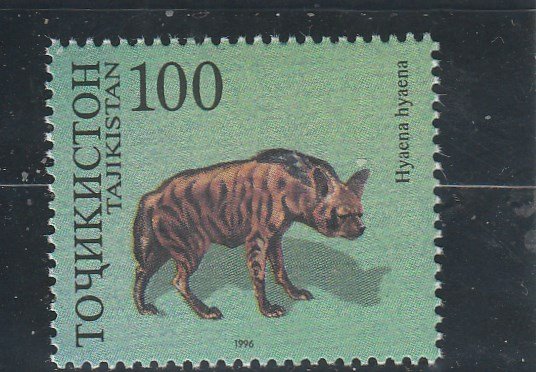 Tajikistan  Scott#  91c  MNH  (1996 Hyena)