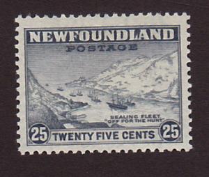 Newfoundland 197 VF MH