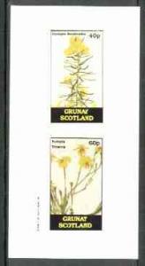 Grunay 1982 Flowers #08 (Cyclopia & Euthalis) imperf ...