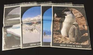 British Antarctic Survey Natural Environment Research Council Posters x 4 PK617