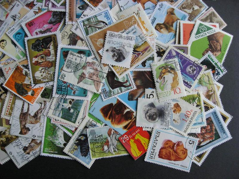 Topical hoard breakup 200 Dogs. Mixed condition, few duplicates