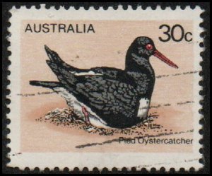 Australia 685 - Used - 30c Pied Oystercatcher (1978) (cv $0.35)