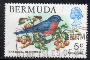 Bermuda 365 - Used - Eastern Bluebird (cv $1.15)