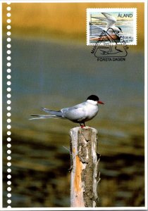 Aland, Maximum Card, Birds, Worldwide First Day Cover