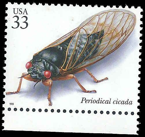 US - #3351r - MNH - SCV-0.70