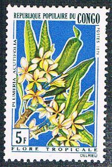 Congo PR 239 MLH Flowers (BP3825)