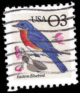 # 2478 USED EASTERN BLUEBIRD