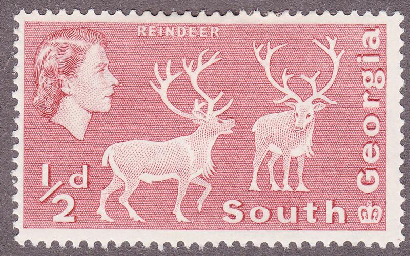 South Georgia 1 Reindeer 1963
