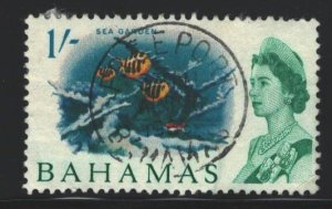 Bahamas Sc#213 Used