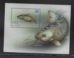 LESOTHO 1998 FISH #1145 MNH
