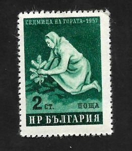 Bulgaria 1957 - M - Scott #977