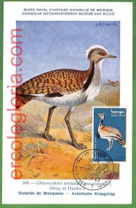 32907 - ISRAEL - MAXIMUM CARD - 1963 - FAUNA, BIRDS-