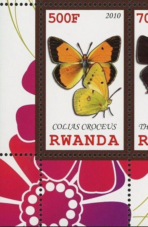 Butterfly Stamp Colias Croceus Insect Souvenir Sheet of 4 Stamps MNH