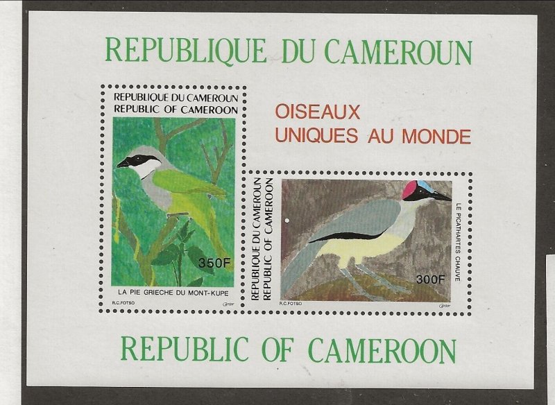 CAMEROUN Sc 864a NH issue of 1991 - SOUVENIR SHEET - BIRDS 