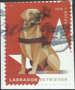 # 5406 Used Military Working Dogs Labrador Retrieve