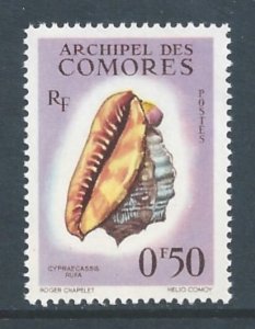 Comoro Islands #48 NH 50c Cypraecassis Rufa
