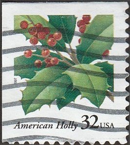 # 3177 USED HOLLY