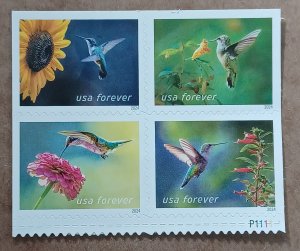 US #5845-5848 (68c) Garden Delights MNH block of 4 plate #P1111 (2024)