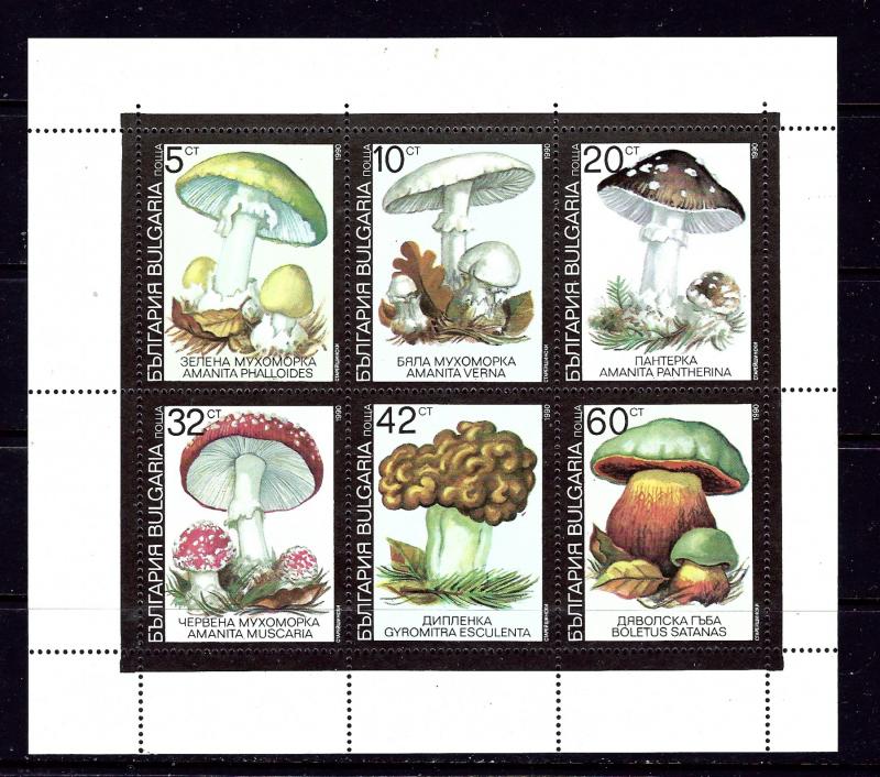 Bulgaria 3602a MNH 1991 Mushrooms sheet of 6