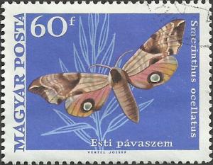 Hungary Unidentified Box Item